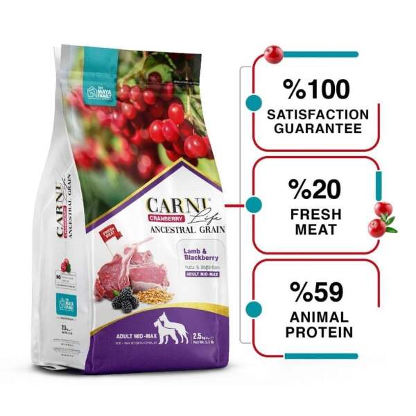 Carni Life Düşük Tahıllı Kuzu Etli Boğurtlenli Orta Büyük Irk Köpek Maması 12+3 kg - 1