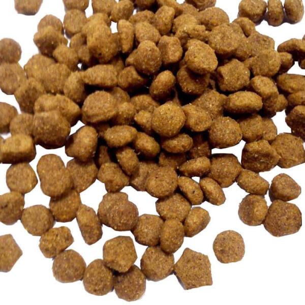 Dog Chow Kuzulu Yetişkin Köpek Maması 2.5 Kg - 3