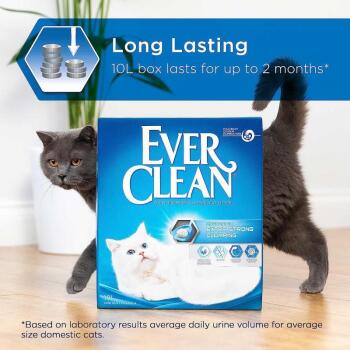 Ever Clean Extra Strength Kokusuz Topaklanan Kedi Kumu 10 Lt - 4