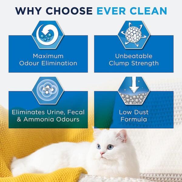 Ever Clean Fast Acting Hızlı Topaklanan Kedi Kumu 10 Lt - 4