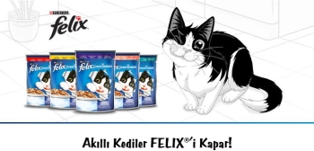 Felix Kuzulu Yetişkin Kedi Yaş Maması 85 Gr 26 Lı - 4