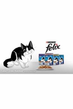 Felix Sığırlı Ve Domatesli Yetişkin Kedi Yaş Maması 85 Gr 26 Lı - 4