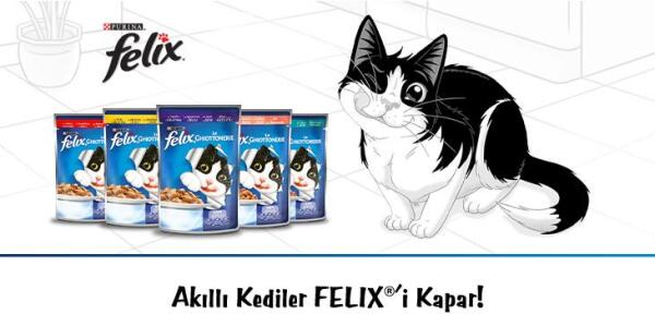 Felix Sığırlı Yetişkin Kedi Yaş Maması 85 Gr 26 Lı - 4