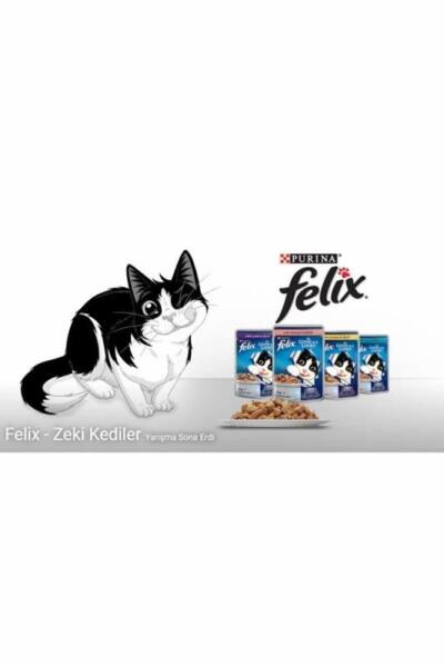 Felix Tavuklu Ve Havuçlu Yetişkin Kedi Yaş Maması 85 Gr 26 Lı - 4