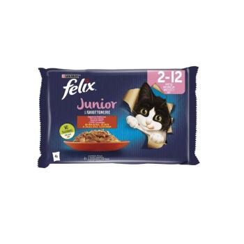 Felix Tavuklu Yavru Kedi Yaş Maması Eko Paket 85 Gr 24 Lü - 2