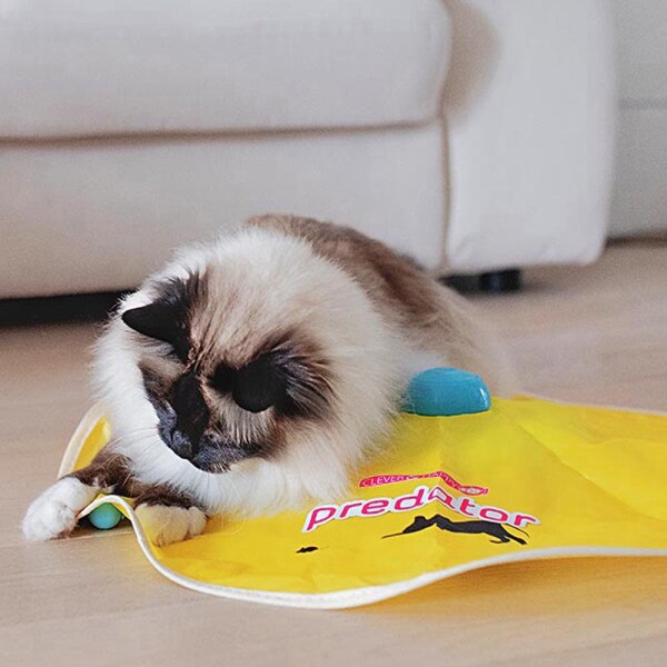 Ferplast Predator Kedi Top Avlama Oyuncağı - 4