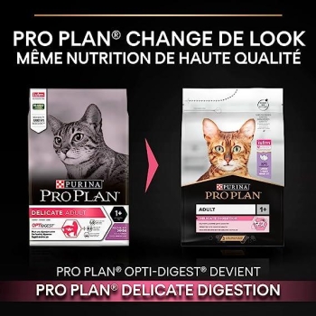 Pro Plan Delicate Hindili Yetişkin Kedi Maması 3 Kg - 2