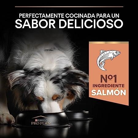 Pro Plan Medium Adult Somonlu Yetişkin Köpek Maması 14+2.5 Kg - 3