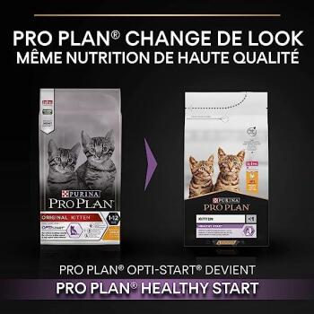 Pro Plan Original Kitten Tavuklu Yavru Kedi Maması 10 Kg - 2