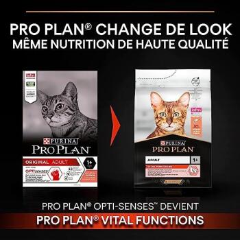 Pro Plan Original Somonlu Yetişkin Kedi Maması 10 Kg - 2