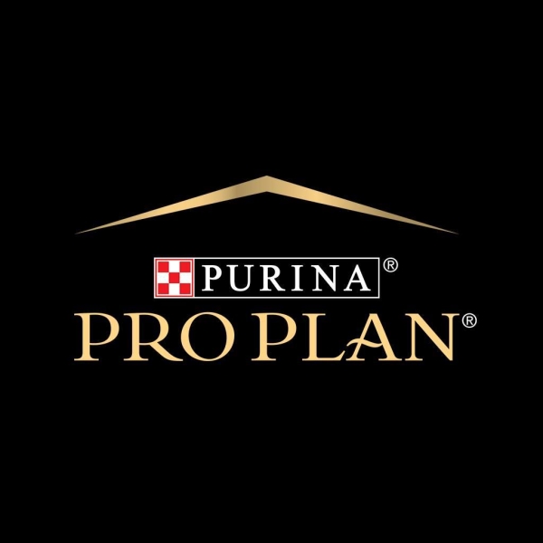 Pro Plan Puppy Hediyeli Kutu Somonlu Küçük Irk Yavru Köpek Maması 3 Kg - 3