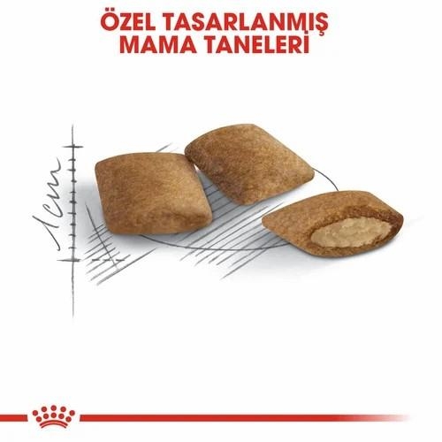 Royal Canin Ageing +12 Yaşlı Kedi Maması 2 Kg - 2