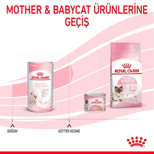 Royal Canin Babycat Milk Yavru Kedi Süt Tozu 300 Gr - 2