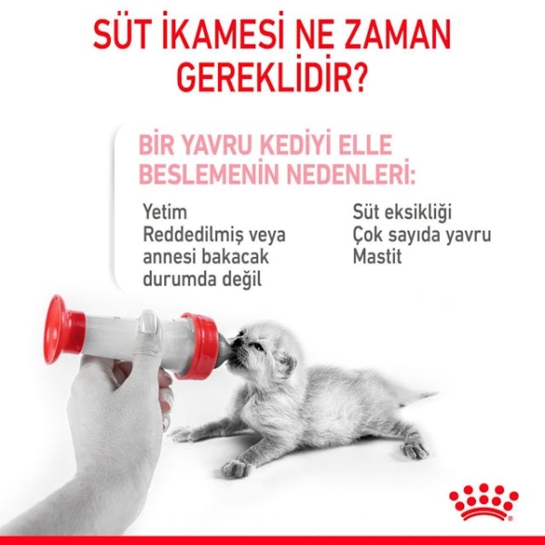 Royal Canin Babydog Milk Yavru Köpek Süt Tozu 400 Gr - 2