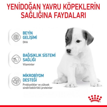 Royal Canin Babydog Milk Yavru Köpek Süt Tozu 400 Gr - 3