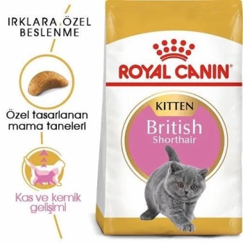 Royal Canin British Shorthair Yavru Kedi Maması 2 Kg - 3