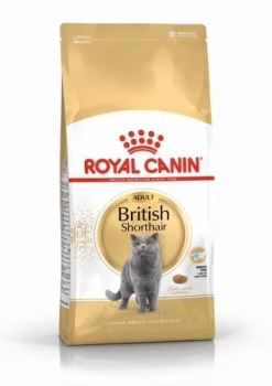 Royal Canin British Shorthair Yetişkin Kedi Maması 10 Kg - 1