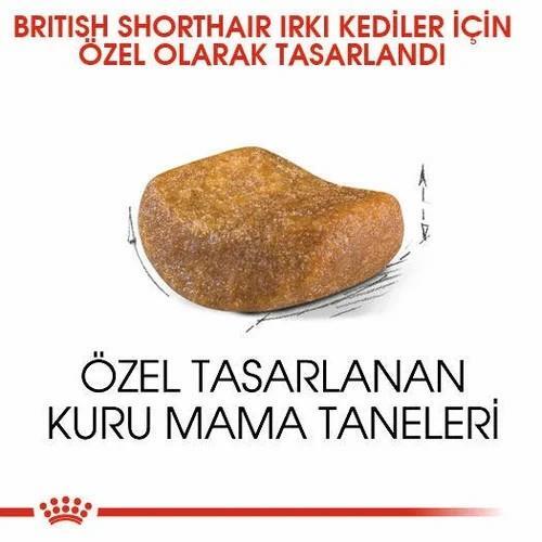 Royal Canin British Shorthair Yetişkin Kedi Maması 10 Kg - 2