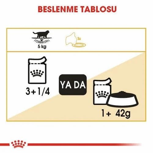 Royal Canin British Shorthair Yetişkin Kedi Yaş Maması 85 Gr 12 Li - 3