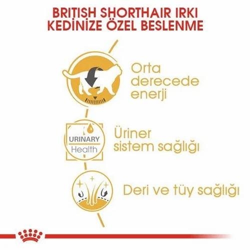 Royal Canin British Shorthair Yetişkin Kedi Yaş Maması 85 Gr 12 Li - 4