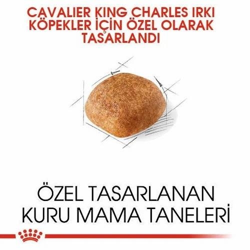 Royal Canin Cavalier King Charles Yetişkin Köpek Maması 1.5 Kg - 2