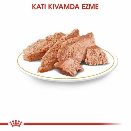 Royal Canin Chihuahua Yetişkin Köpek Yaş Maması 85 Gr 12 Li - 3