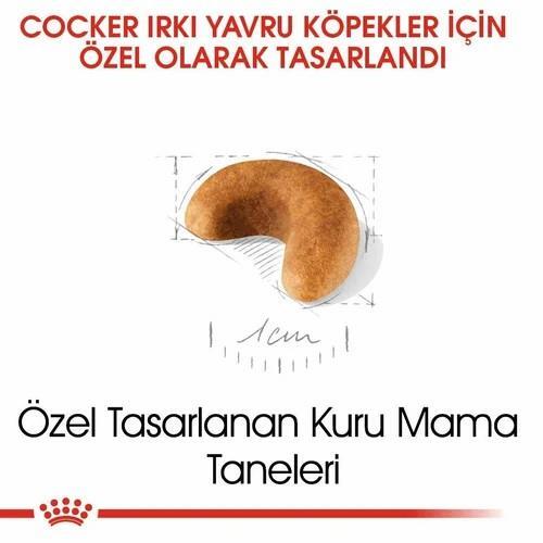 Royal Canin Cocker Yavru Köpek Maması 3 Kg - 2