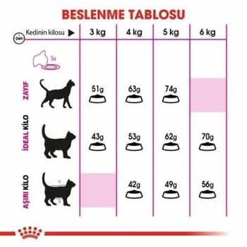 Royal Canin Exigent 35/30 Yetişkin Kedi Maması 2 Kg - 4