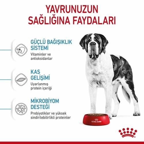 Royal Canin Giant Junior Dev Irk Yavru Köpek Maması 15 Kg - 2