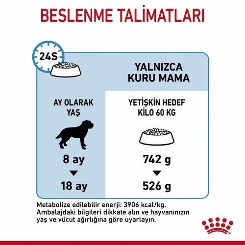 Royal Canin Giant Junior Dev Irk Yavru Köpek Maması 15 Kg - 4