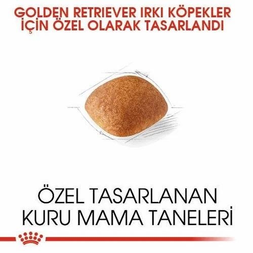 Royal Canin Golden Retriever Yetişkin Köpek Maması 12 Kg - 2