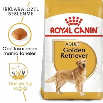 Royal Canin Golden Retriever Yetişkin Köpek Maması 12 Kg - 3