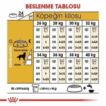 Royal Canin Golden Retriever Yetişkin Köpek Maması 12 Kg - 4