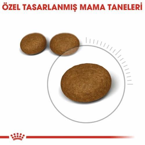 Royal Canin Hair Skin Hassas Tüylü Kedi Maması 2 Kg - 2