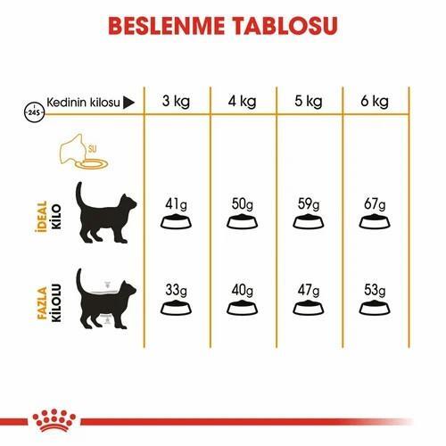 Royal Canin Hair Skin Hassas Tüylü Kedi Maması 2 Kg - 4