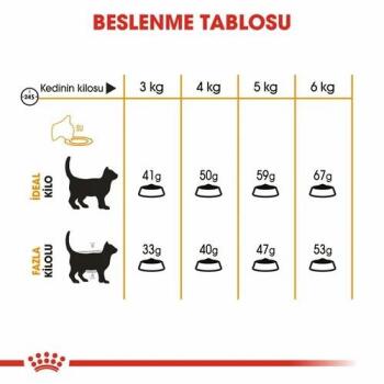 Royal Canin Hair Skin Hassas Tüylü Kedi Maması 4 Kg - 4