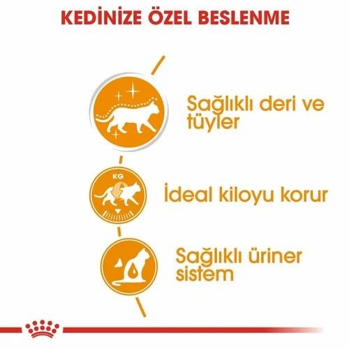 Royal Canin Hair Skin Hassas Tüylü Kedi Yaş Maması 85 Gr 12 Li - 4