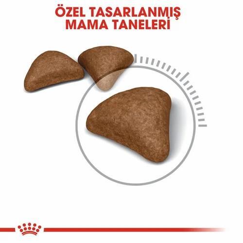 Royal Canin Hairball Tüy Yumağı Önleyici Yetişkin Kedi Maması 2 Kg - 2