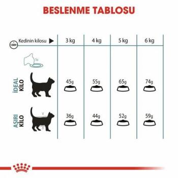 Royal Canin Hairball Tüy Yumağı Önleyici Yetişkin Kedi Maması 2 Kg - 4