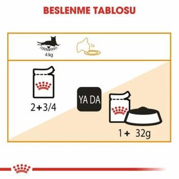 Royal Canin Intense Beauty Yetişkin Kedi Yaş Maması 85 Gr 12 Li - 3