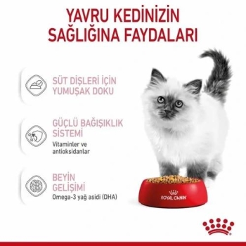 Royal Canin Kitten Jelly Yavru Kedi Yaş Maması 85 Gr 12 Li - 2