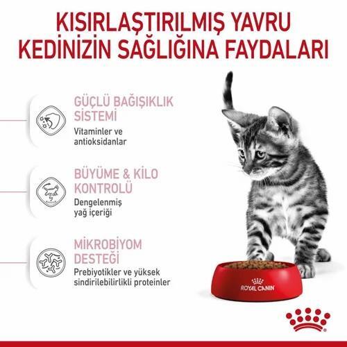 Royal Canin Kitten Sterilised Kısırlaştırılmış Yavru Kedi Maması 2 Kg - 2