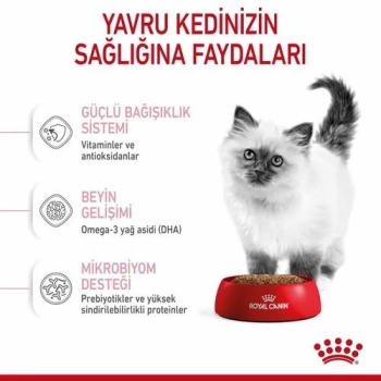 Royal Canin Kitten Yavru Kedi Maması 10 Kg - 2