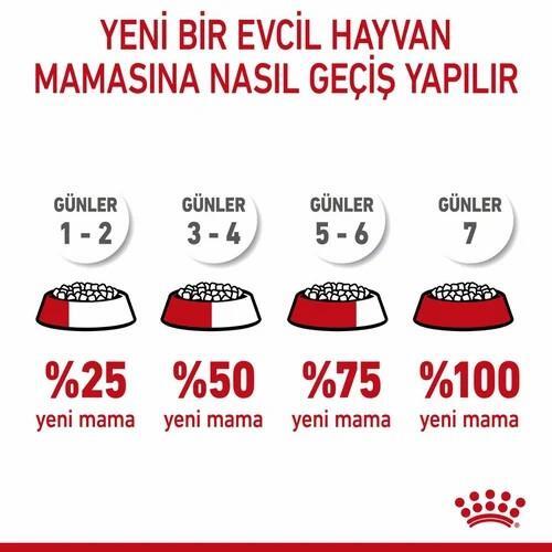 Royal Canin Kitten Yavru Kedi Maması 10 Kg - 3