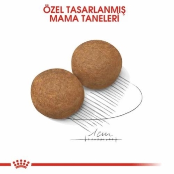 Royal Canin Maxi Adult Büyük Irk Yetişkin Köpek Maması 15 Kg - 2