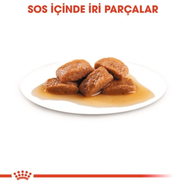 Royal Canin Maxi Adult Gravy Yetişkin Köpek Yaş Maması 140 Gr 10 Lu - 4