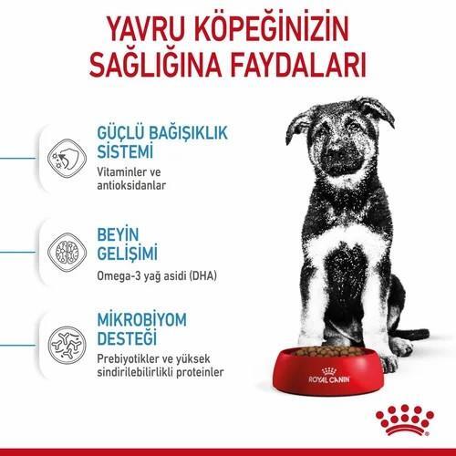 Royal Canin Maxi Junior Büyük Irk Yavru Köpek Maması 15 Kg - 2