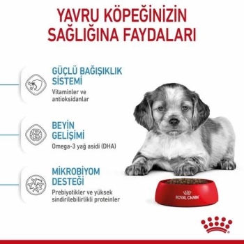 Royal Canin Medium Junior Orta Irk Yavru Köpek Maması 15 Kg - 2