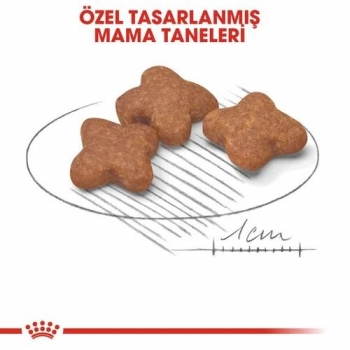 Royal Canin Mini Adult +8 Küçük Irk Yaşlı Köpek Maması 2 Kg - 2