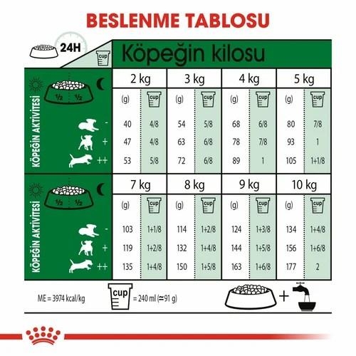 Royal Canin Mini Adult +8 Küçük Irk Yaşlı Köpek Maması 2 Kg - 4